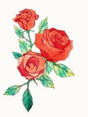 Watercolor painting step by step - How to draw roses :3