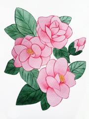 Tips to draw camellia flowers in just a few easy steps
